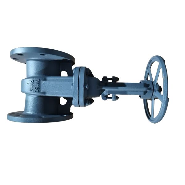 1 2 Inch to 24 Inch Cast Iron Wedge Gate Valve with Flanged End Connections