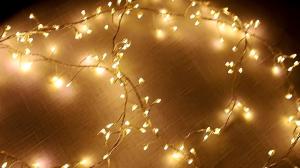 China Firework Lights Led Copper Wire Battery Operated Fairy Lights with Remote Wedding Christmas Decorative Hanging Lights for Party factory
