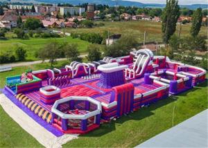 China Durable Inflatable Theme Park With PVC Tarpaulin Material Purple And Blue factory