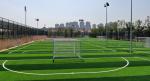 Density 50mm Artificial Football Pitch With 16.5 Stitches For Optimal Playabilit