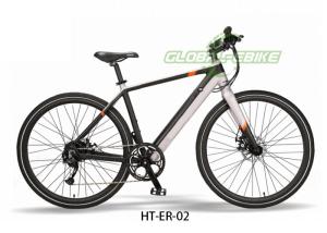 China 36V 350W 14Ah Battery Mountain Electric Bike with LED Spot Front Li Light factory