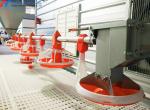 Steel Structure Broiler Poultry Equipment , Poultry Automatic Feeding System