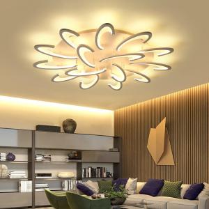 China Creative Personality LED Ceiling Light Home Hall Dining Room Bedroom Lamp factory