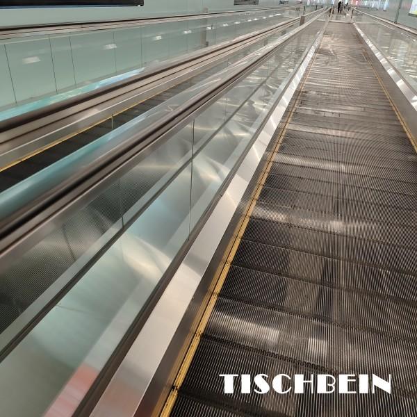 0.5m/S EN115 Moving Walkway Sidewalk 1000mm Pallet Width With Light For