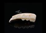 Precise Fit Full Zirconia Crowns , Highly Biocompatible Zirconia Crowns For