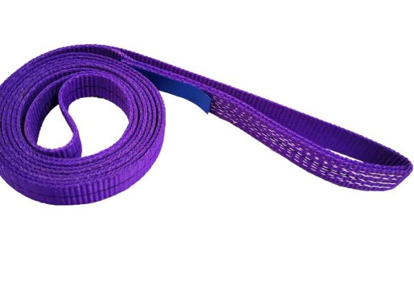 Flat 100% Polyester WLL 1000kg Endless Webbing Sling