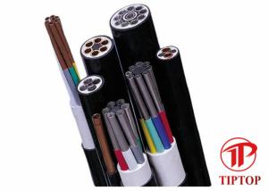 China ASTM A269 PVC Covered 304L Multi Core Tubing factory