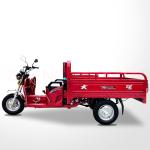 Customized Body 800W Light Load Three Wheel Cargo Motorcycle Tricycle Trike Bike