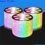 100m RGB Strip Light for Landscape Waterproof Warm White LED WiFi Remote Control