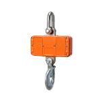 Portable LED Display Electronic Crane Scales Stainless Steel Shackle 500kg