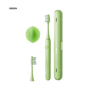 China Adult Electric Toothbrush Wholesale DuPont soft bristle Battery Powered Waterproof factory