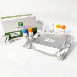PRRSV Porcine Test Kit Porcine Reproductive And Respiratory Syndrome Virus