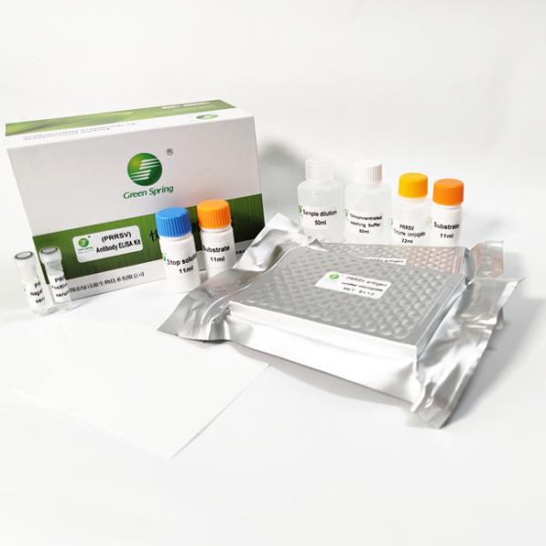 PRRSV Porcine Test Kit Porcine Reproductive And Respiratory Syndrome Virus