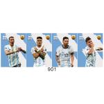 14 Designs Ronaldo World Football Soccer Player 12x16 inches Poster 3D