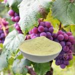 Enzymolysis Ph 4-6 Amino Acid Foliar Fertilizer Water Soluble Fertilizer Organic