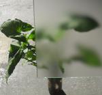 Silkscreening Tempered Glass Door Frosted 5/16" High Strength