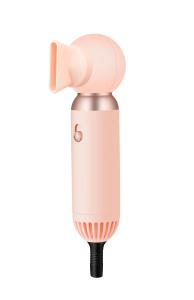 China Custom Logo Ionic Pet Hair Dryer Portable 800W Power Multipurpose factory