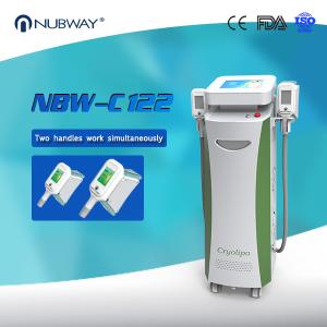 China Beauty Equipments Cryo Machine Weight Loss Body Slimming Fat Freezing Cryolipolysis factory