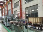 Pure Water Beer Bottle Filling Machine Perfume Inline Filling Systems