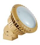 CE Approved Explosion Proof Ceiling Light NEW-FBG-100W High Bay Light Fixtures