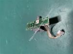 Nihon Kohden TEC-5602 Defibrillator Encoder Rotary UR-0505 6190-901633 S1