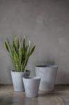 Classic Polygon Planter