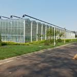 Venlo Roof Glass Green House For Agriculture 10.8m Lettuce Leaf Vegetable Salad