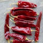 Smooth And Leathery Dried Chile Guajillo Heb Without Stem For Soups