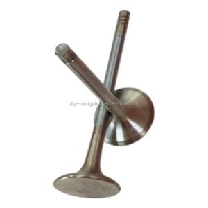 Engine Valve for Lavida Sagitar T-ROC Jetta CC MT Tiguan A4 A6 A8 C6 C7 Q5 Q7 1