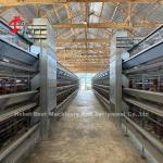 110kg Capacity Poultry Layer Cage with Automatic Nipple Drinkers for Poultry