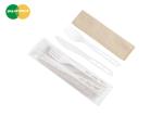 Food Grade Cornstarch CPLA Disposable Eating Utensils Biodegradable