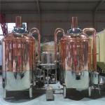 500L stainless steel ss304 microbrewery equipment for sale with steam heating