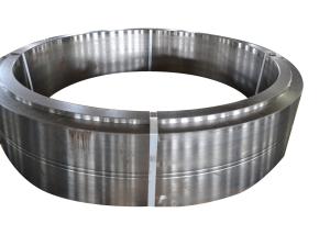 China Mining X20Cr13 1.4021 SUS420JI Stainless Steel Forging factory