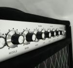 Custom Amplifier Deluxe Handwired Steel String Singer SSS Guitar Amplifier Head