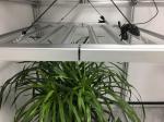 WiFi Controlled ETL 150lm/W 1000 Watt LED Grow Light
