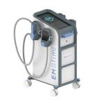 RF Electromagnetic Tesla EMS Professional Body Contouring Machine
