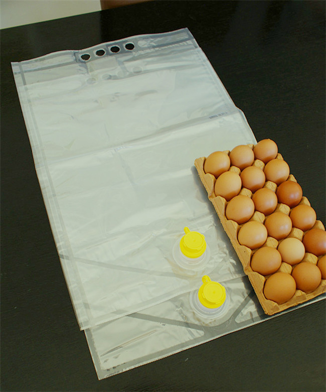 China BIB liquid egg packing factory