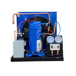 China MLZ021 Made In China Hermetic Compressor Refrigeration Unit R404A Gas Small Condensing Unit factory