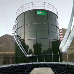 Biogas Wastewater Anaerobic Reactor With Batch / Continuous Design