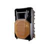 China 10inch 12inch 15inch battery powered portable rechargeable BT speaker with LED lights factory