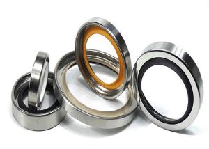 China Skeleton Air Compressor Oil Seal Dust Seal Ring factory