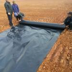 Black Anti Puncture Acid and Alkali Resistant Geomembrane for Fish Ponds