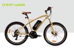 32km/H Mens Mid Motor Electric Bike , 36V 350W Mid Motor Electric Mountain Bike