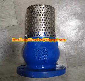 China Base GGG50 DIN flanged foot valve made in China factory