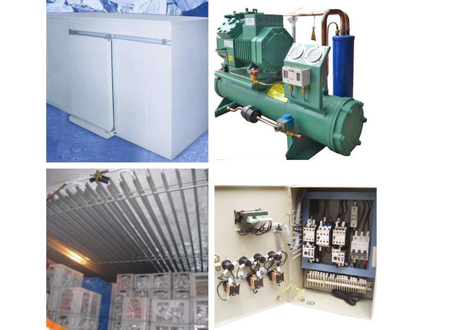100mm Thickness Panel Cold Storage For Vegetables , Fruit Modular Freezer Room