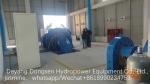400V 800V 6.3kV 10kV Rated Voltage Stainless Steel Runner Francis Turbine