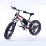 7 Speed Fat Wheel Electric Bike Mountain Beach Use Snow Resistance 26 Inch