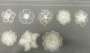 China Garment Accessories Embroidery Lace Applique with Cord Ivory Color factory