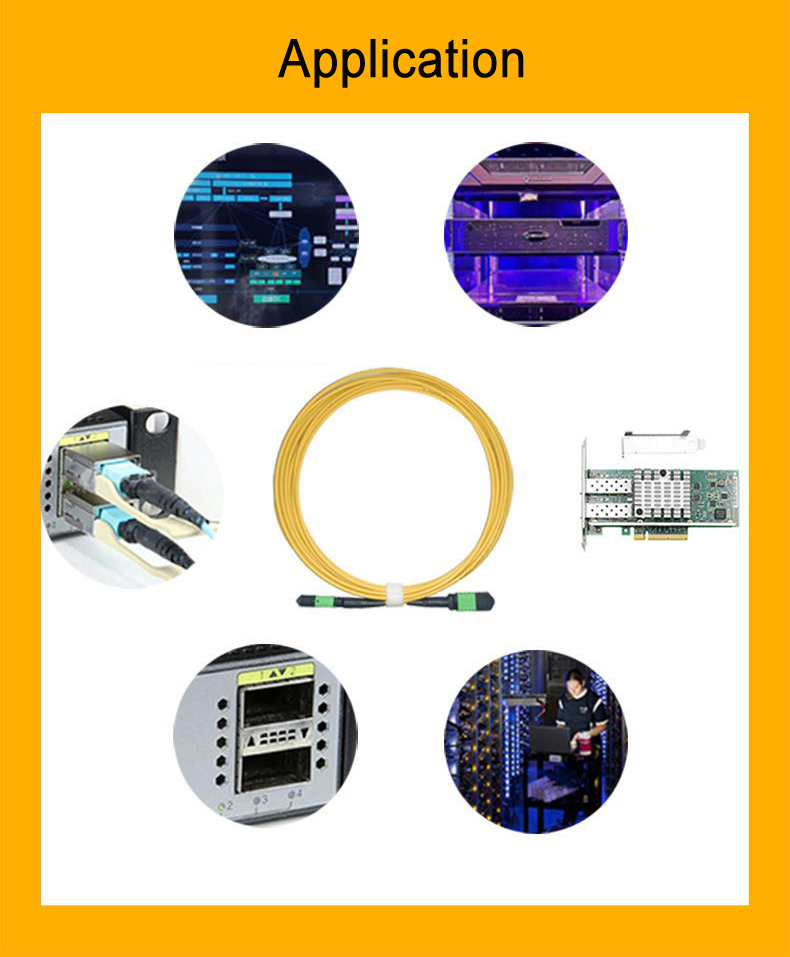 MPO APC singlemode 1 meter 10G fiber jumper 8 12 24core 40G100G 1310 1550NM support customization