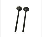 6742-01-0150 6742-01-3000 3802463 Intake Diesel Engine Valves STD For KOMATSU